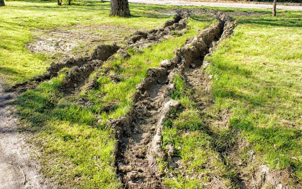 Dealing With Ruts In Your Lawn - SSC Services For Education