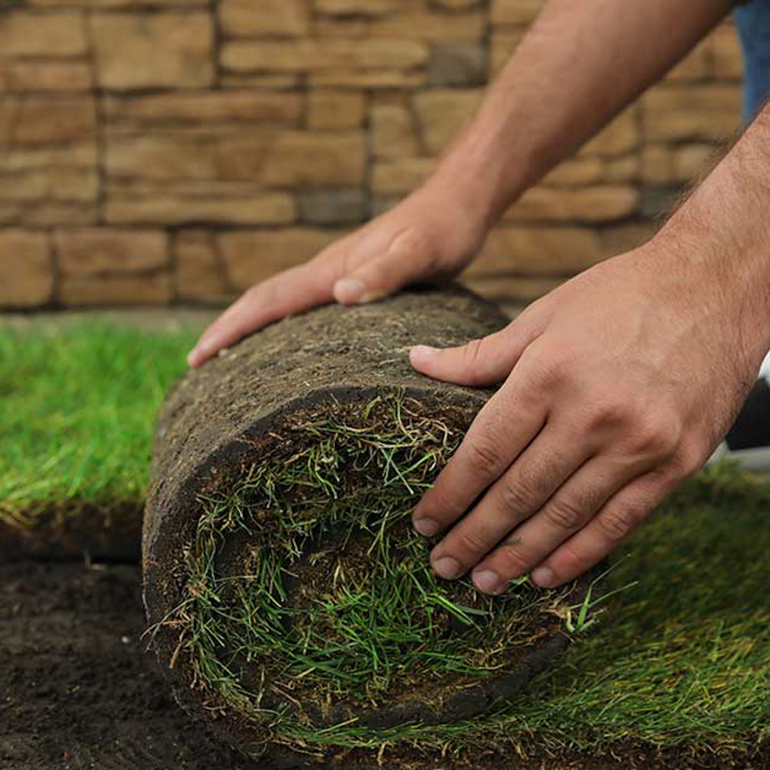 Sod Installation