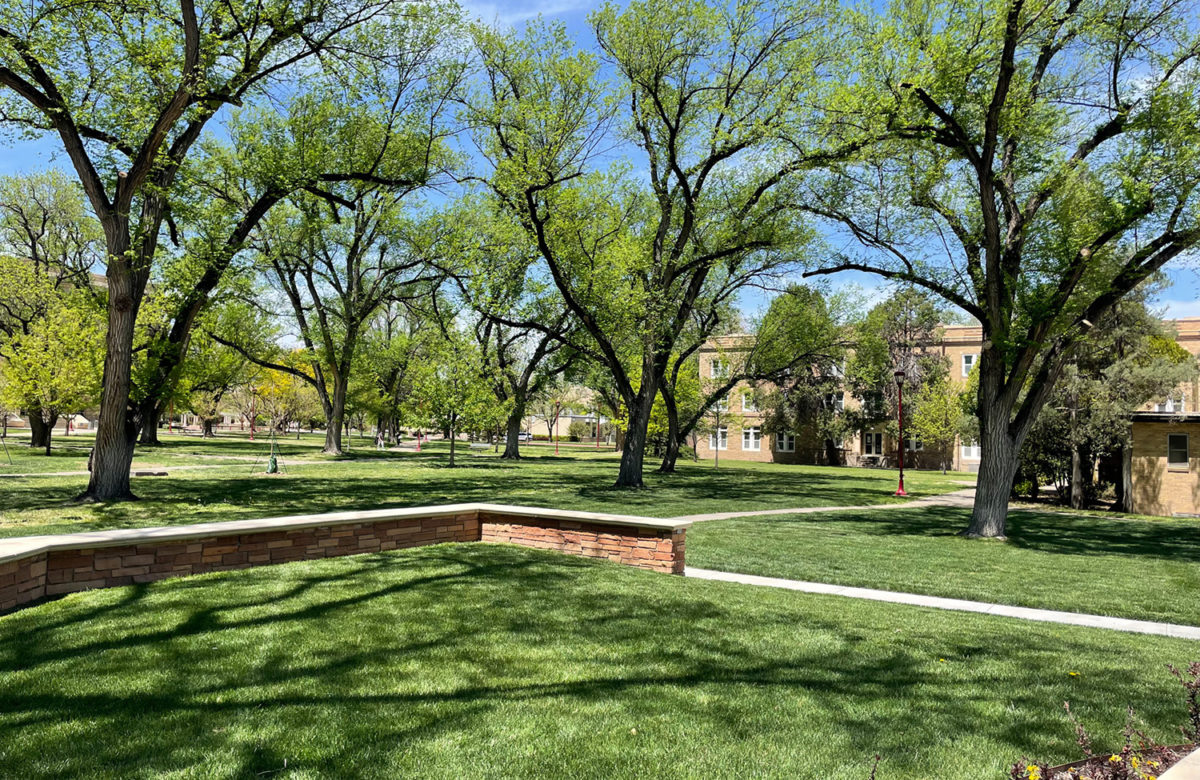 West Texas A&M outdoor space with trees.